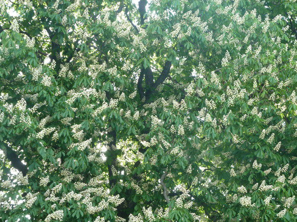 Андрей Юрченко