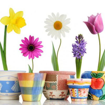 Альфия Литрес