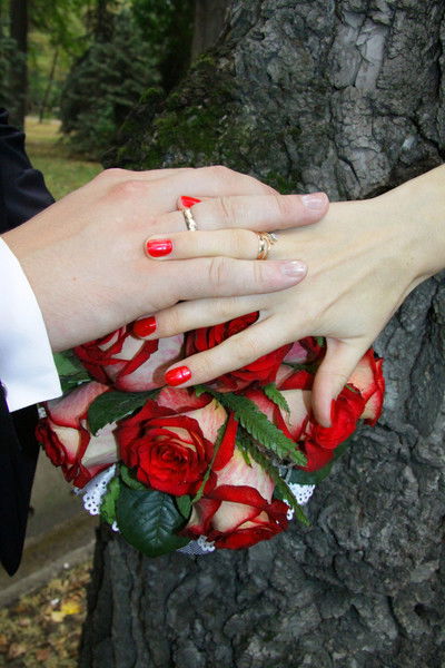 Альбина Фотосалон