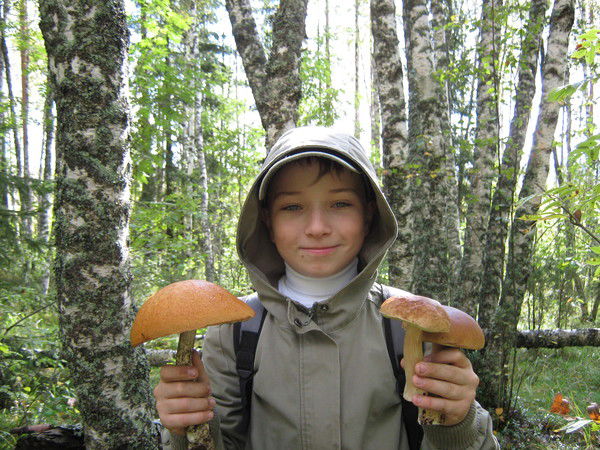 Никита Берестнев