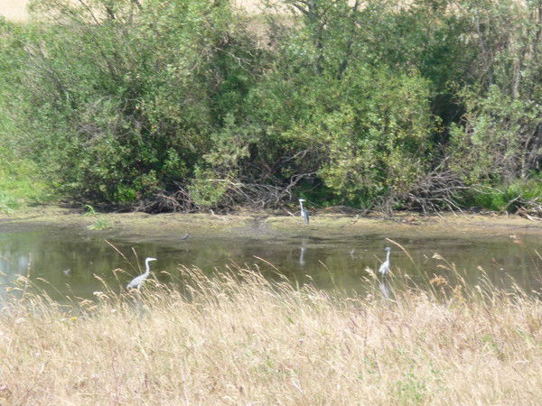 Юрий Тикушев