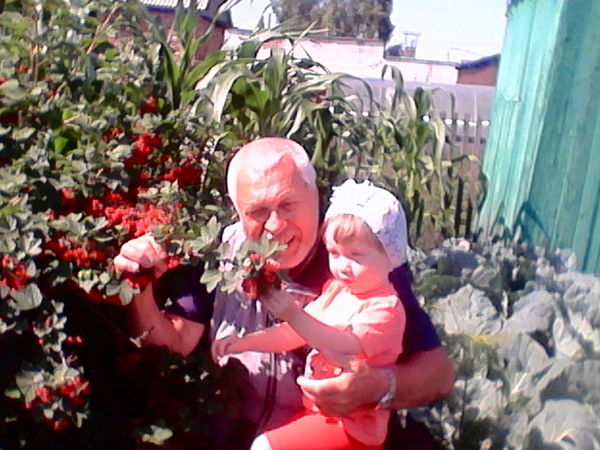 Владимир Сидельников