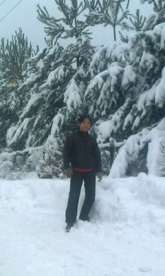 Аркадий Ким