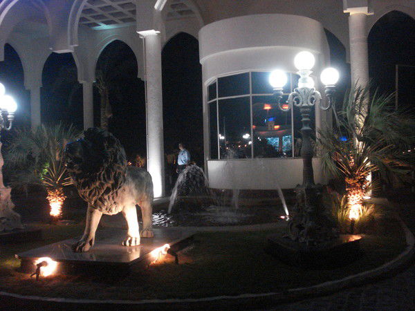 Алена Шишкова