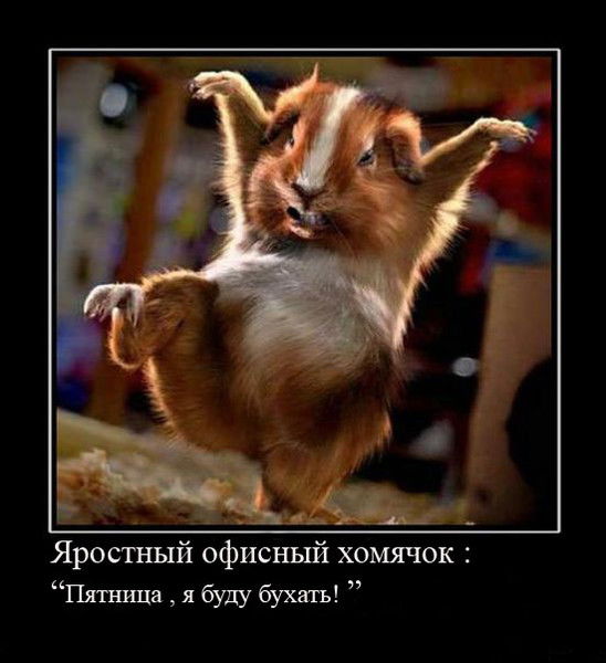 Артем Ручко