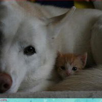 Настя Малышева