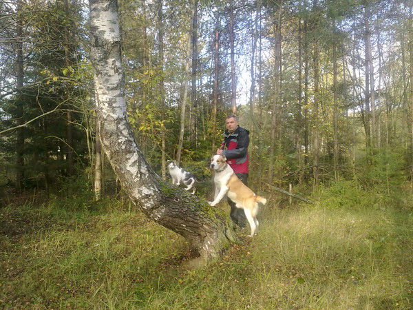 Валерий Яхеев