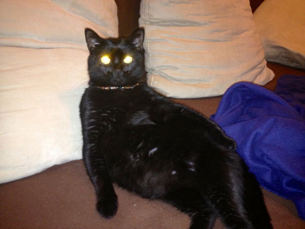 Евгений Зинченко