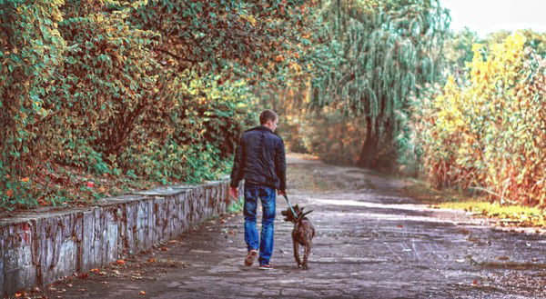 Иван Сабадан