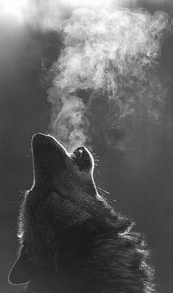 Саша Каньшин