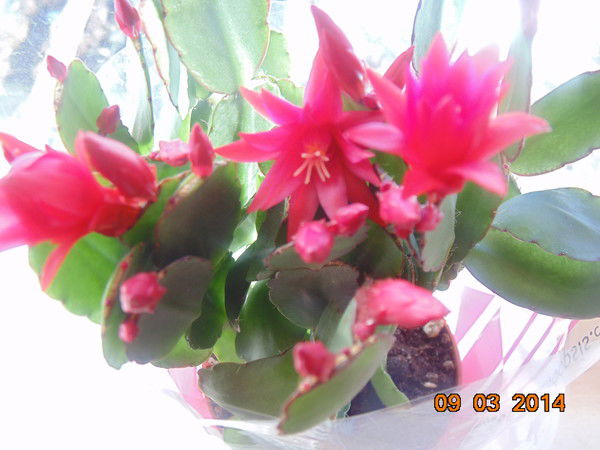 Просто Я :)))))))))))