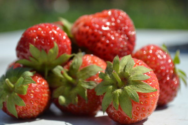 Светлана Квасных