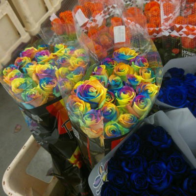 Валера Репин