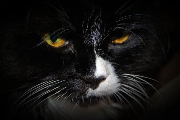 .......... ...........