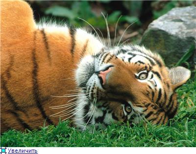 Ирина Катунцева