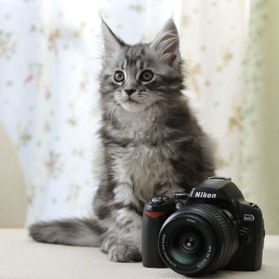 Катя Вазюкова