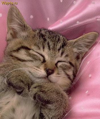 Эльмира Нуриахметова