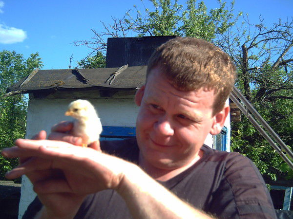 Александр Мостовой