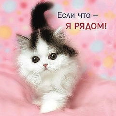 Что общего между эйфелевой башней и женскими ногами. Смотреть фото Что общего между эйфелевой башней и женскими ногами. Смотреть картинку Что общего между эйфелевой башней и женскими ногами. Картинка про Что общего между эйфелевой башней и женскими ногами. Фото Что общего между эйфелевой башней и женскими ногами