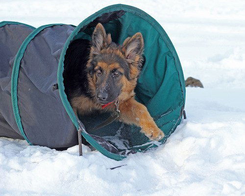 Елена Гироль