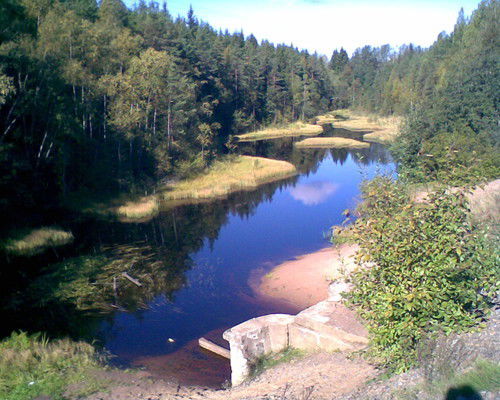 Лариса Чумакова