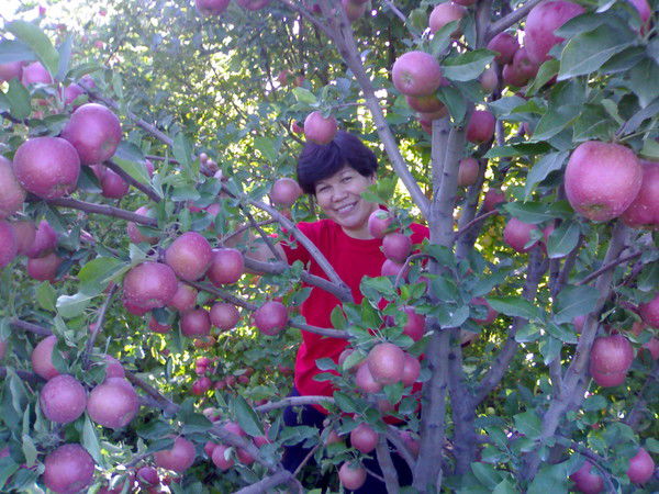 Фарида Сапарбаева
