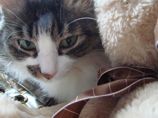 Валентина Литвиненко