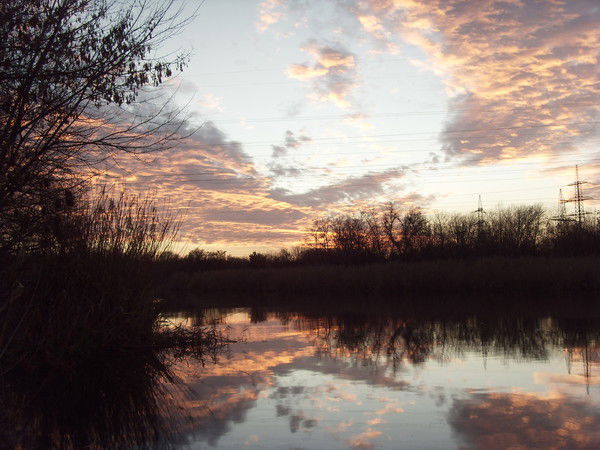 Андрей Носов