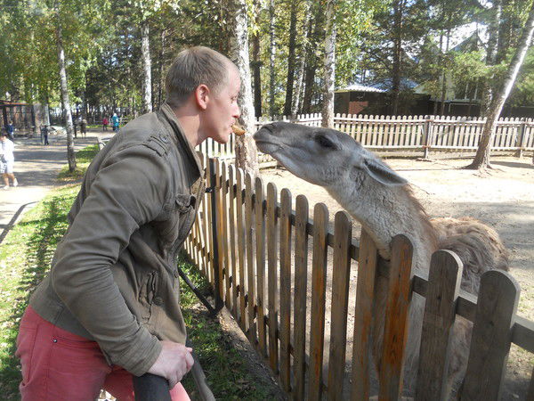 Максим Александрович