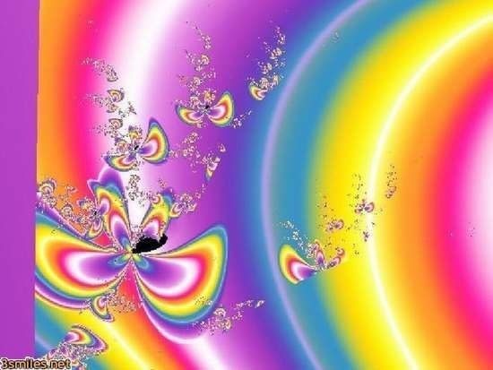 Зимина Надежда