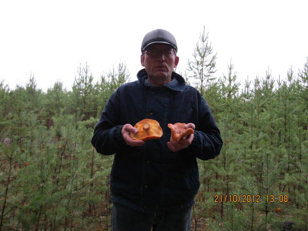 Константин Бедулин