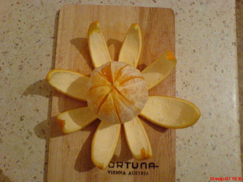 Елена Виноградова