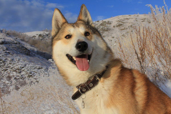 Жанна Репина