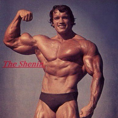 Илья Железняков