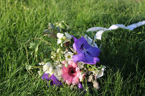 Алёна Кичигина