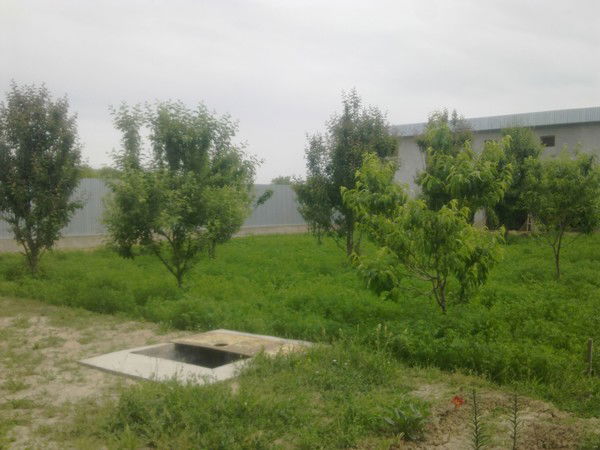 Хожанов Кадир Хамзеевич