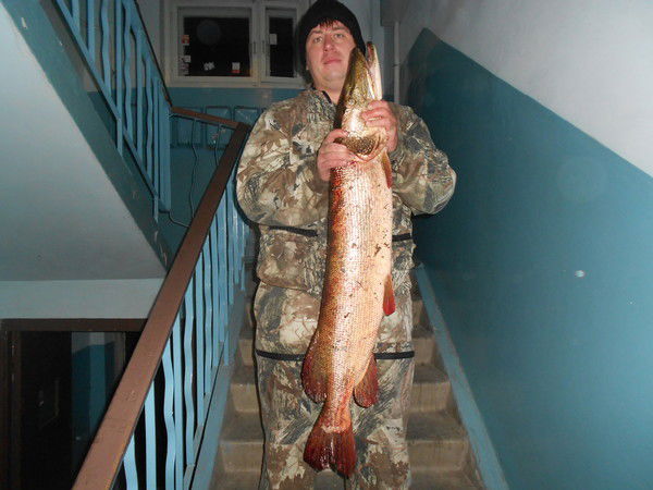 Константин Михайлович