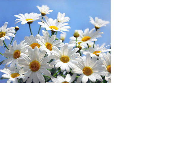 Ирина Батюшенкова