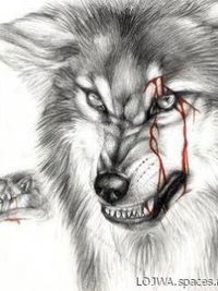 Андрей Байков