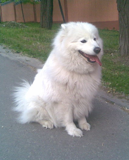 Елена Карпунина