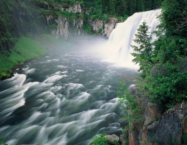 Егор Ращепкин
