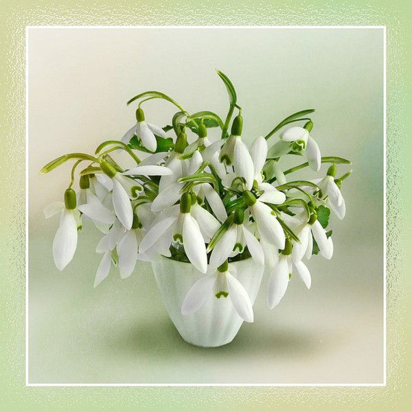 Галина Гусейнова