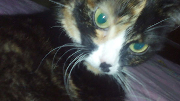 Гульфия Юсупова