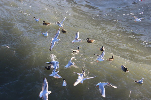 Hаталья Kлимчук