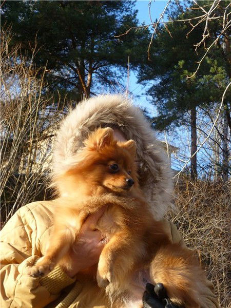 Наташа Плешкова