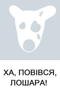 Діма Стецюк