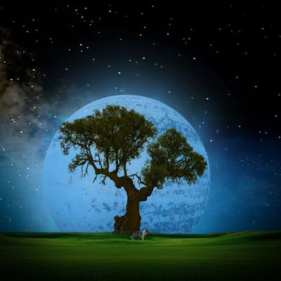 Оник Егиазарян