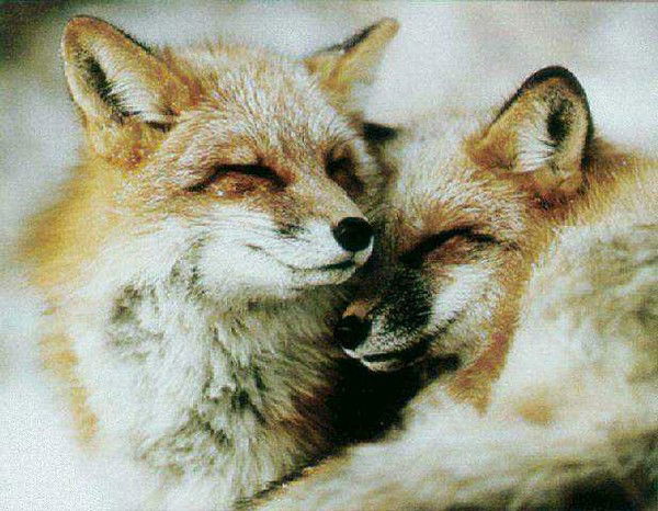 Алексей Трухин