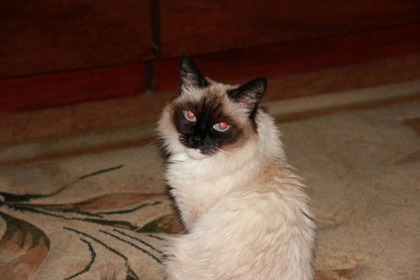 Ольга Смурыгина