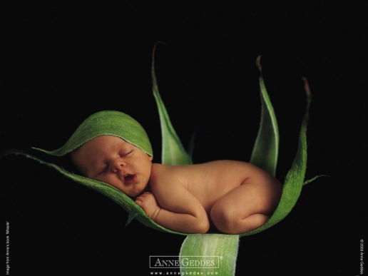 Динара Шафигуллина